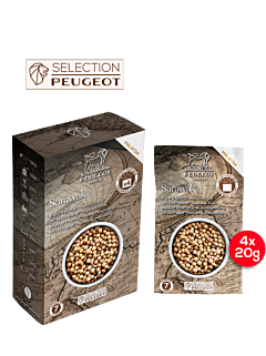 Sarawak - Peugeot Saveurs